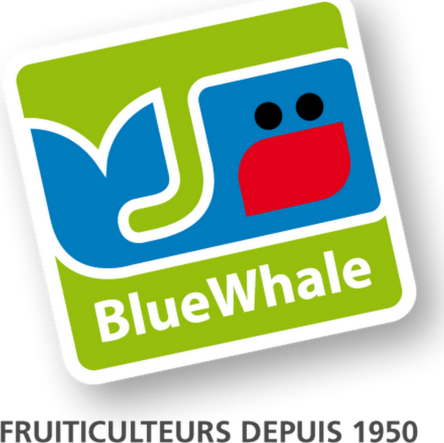 Blue Whale