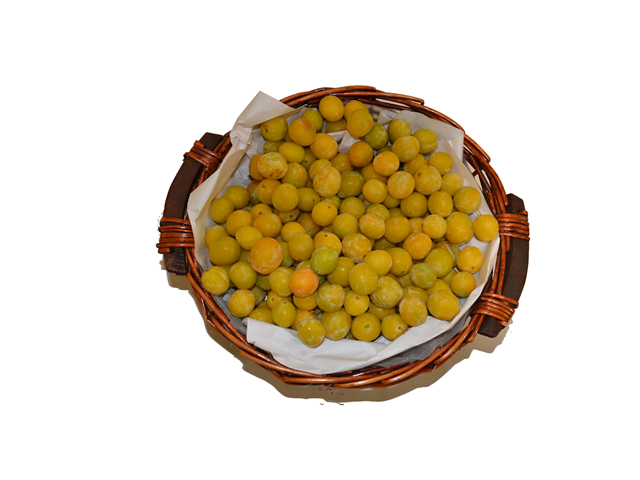 MIRABELLE DE LORRAINE