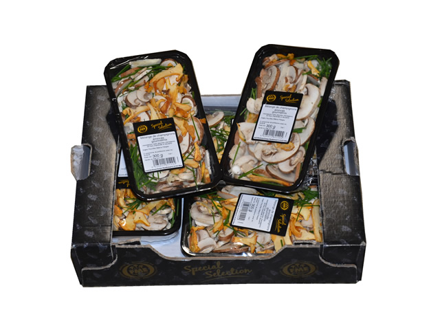 CHAMPIGNON GOURMET MIXTE