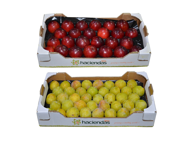 PRUNE JAUNE & ROUGE LITÉE