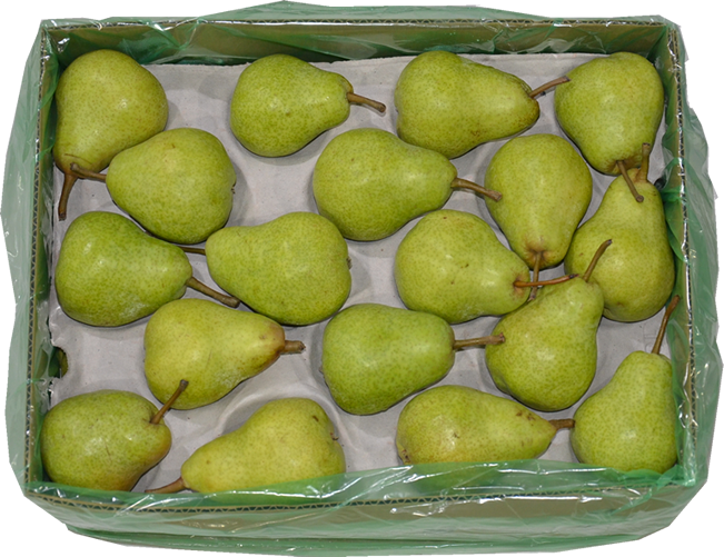 POIRE WILLIAMS VERTE VRAC