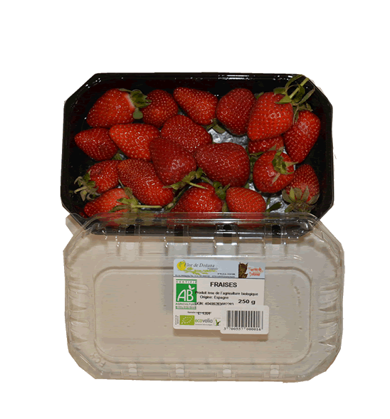 FRAISE RAVIER 250 GRS ECO EMBALLAGE