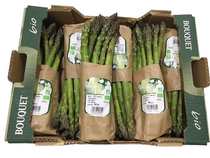 ASPERGE VERTE