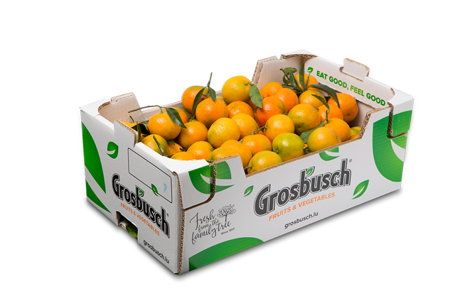 Clementines Feuilles Grosbusch