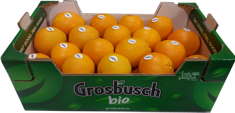 ORANGE GROSBUSCH