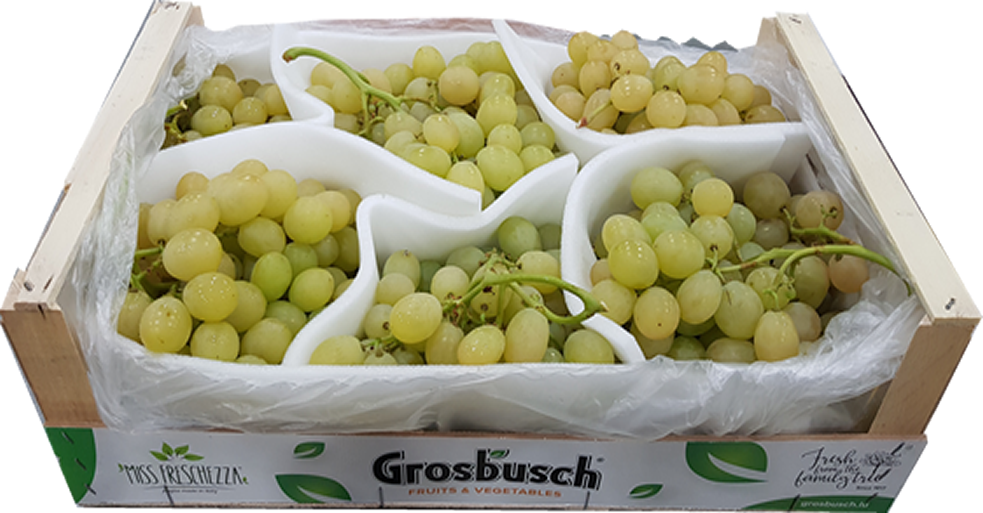 RAISIN BLANC VICTORIA GROSBUSCH